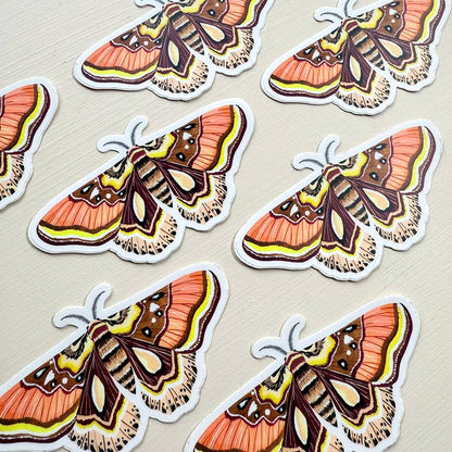 Moth Vinyl Sticker - Wildlife Sticker - Nature Sticker