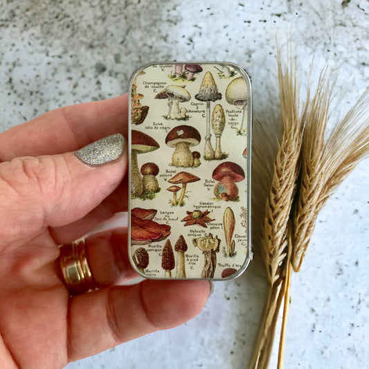 Mushroom Storage Tin: Small