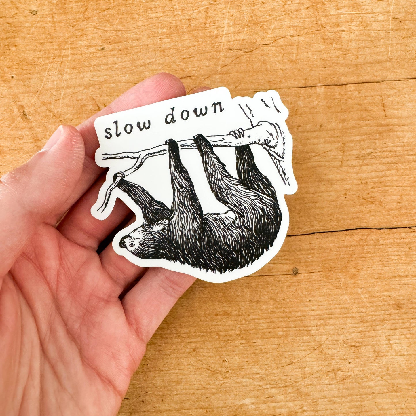 Slow Down Sloth Sticker