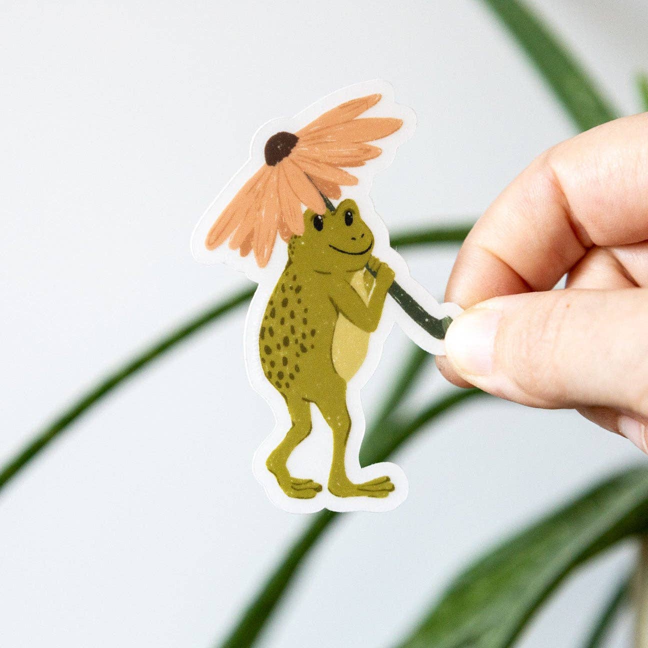 Frog Clear Sticker
