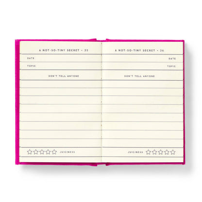 Tiny Diary for Not So Tiny Secrets