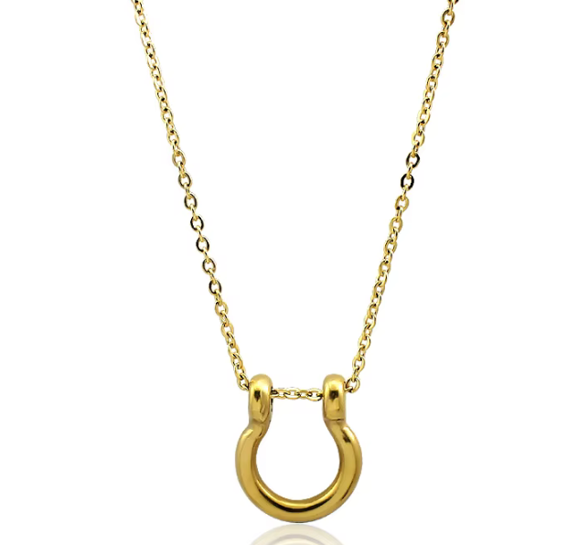 Horse Bit Horse Shoe Steel Stirup Chain Necklace: Two tone