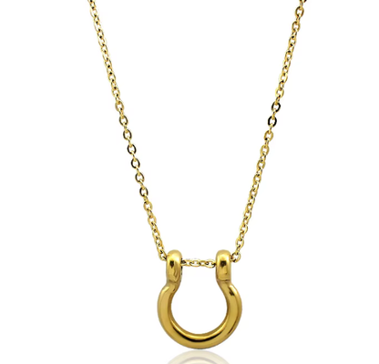 Horse Bit Horse Shoe Steel Stirup Chain Necklace: Two tone