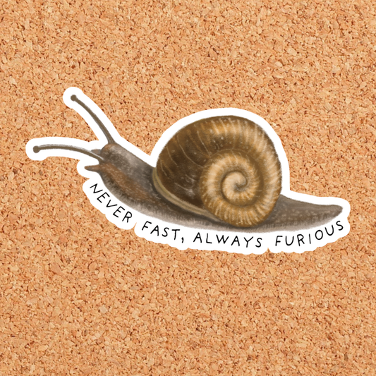 Never Fast Always Furious Snail Vinyl Sticker