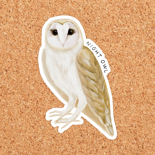 Barn Owl Night Owl Vinyl Sticker