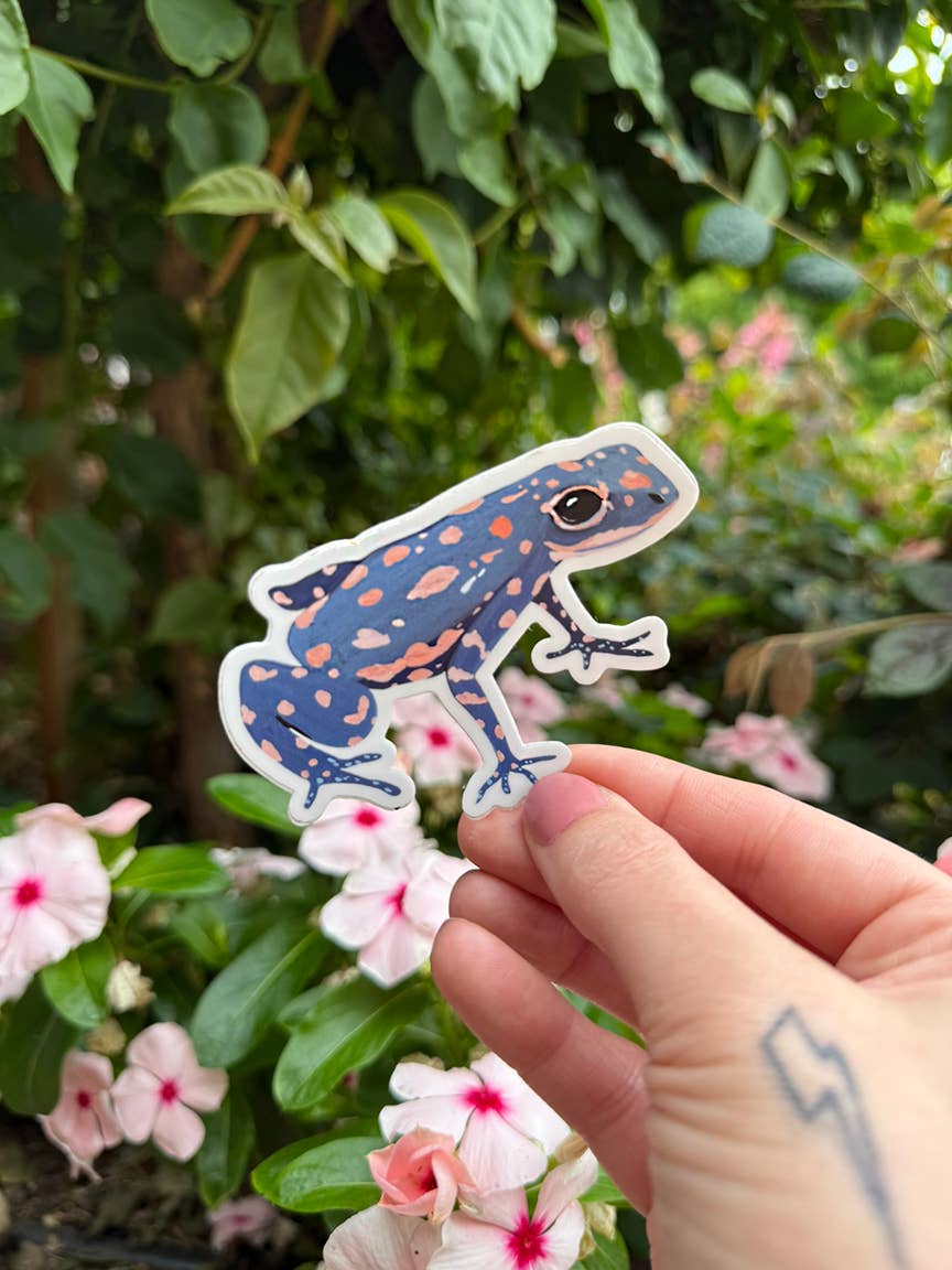 Frog Vinyl Sticker - Wildlife Sticker - Nature Sticker