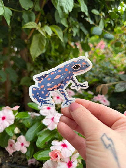 Frog Vinyl Sticker - Wildlife Sticker - Nature Sticker