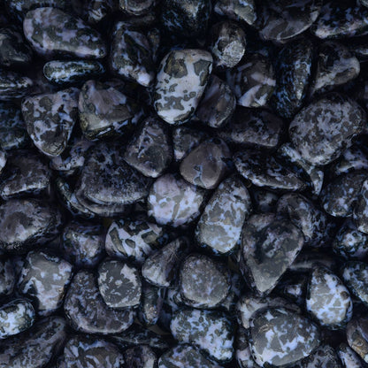 Tumbled Indigo Gabbro - Madagascar (1 lb)