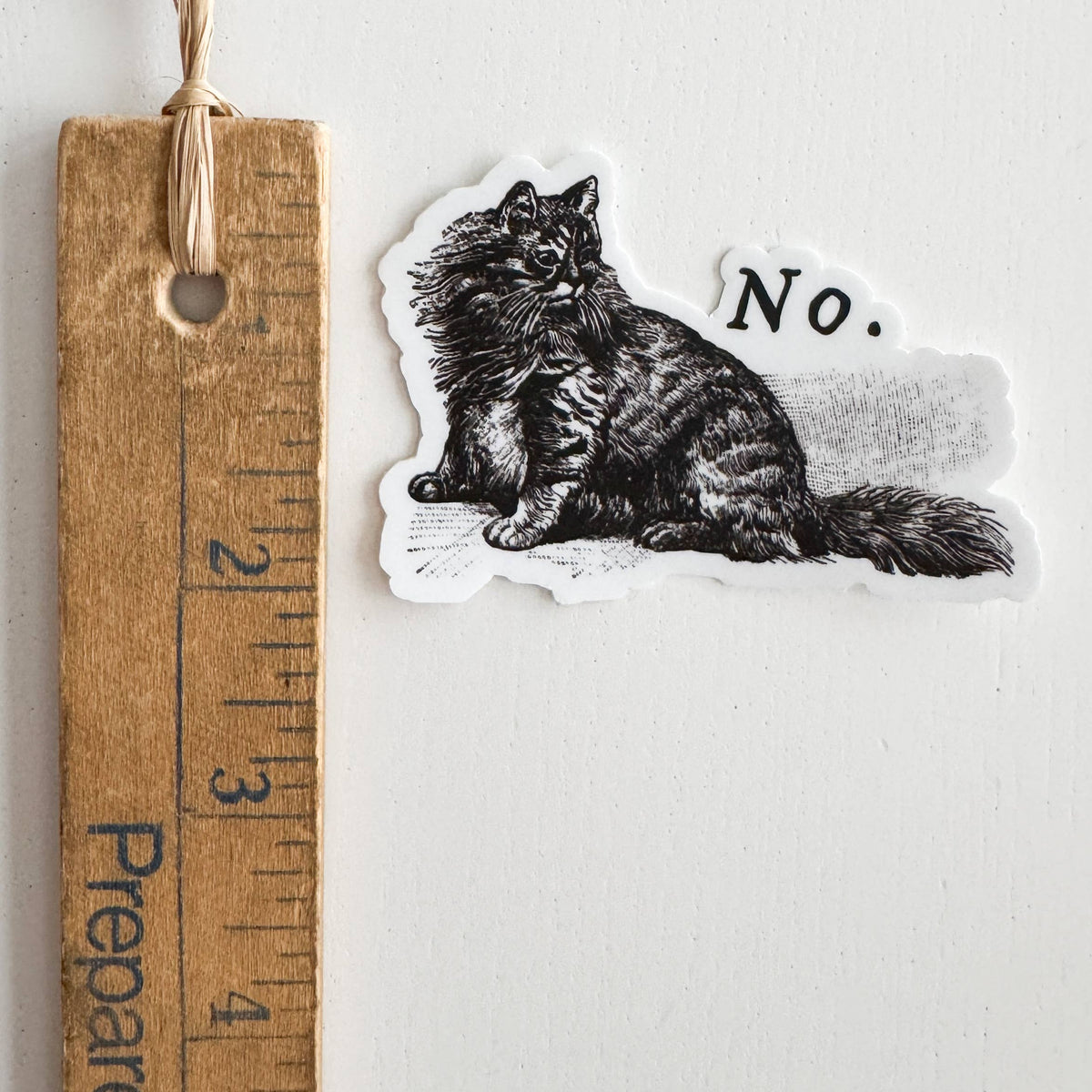 No Cat Sticker No Cat Vinyl Sticker – Two Macaws