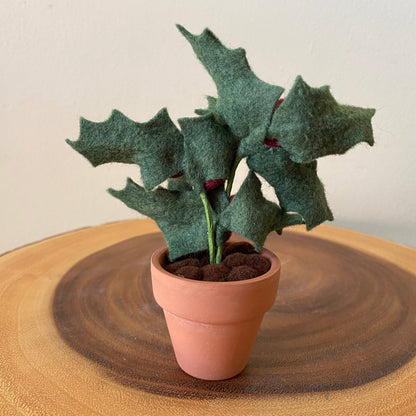 Holly Felt Forever Plant (December Birth Month Flower)