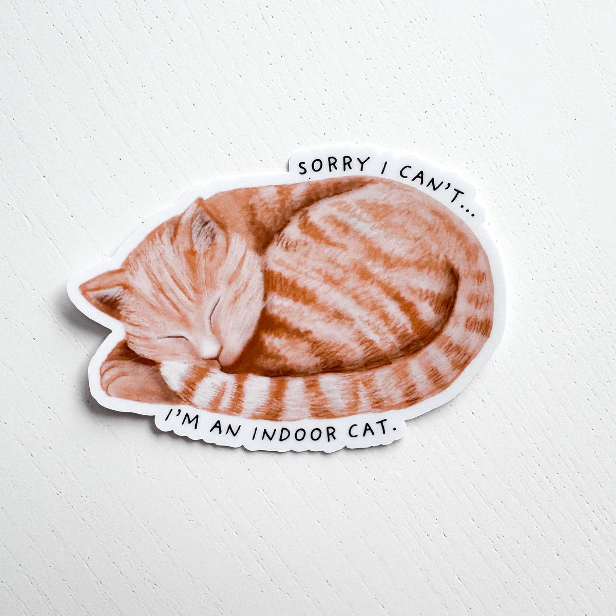 Indoor Cat Introvert Antisocial Vinyl Sticker: With Backer Card