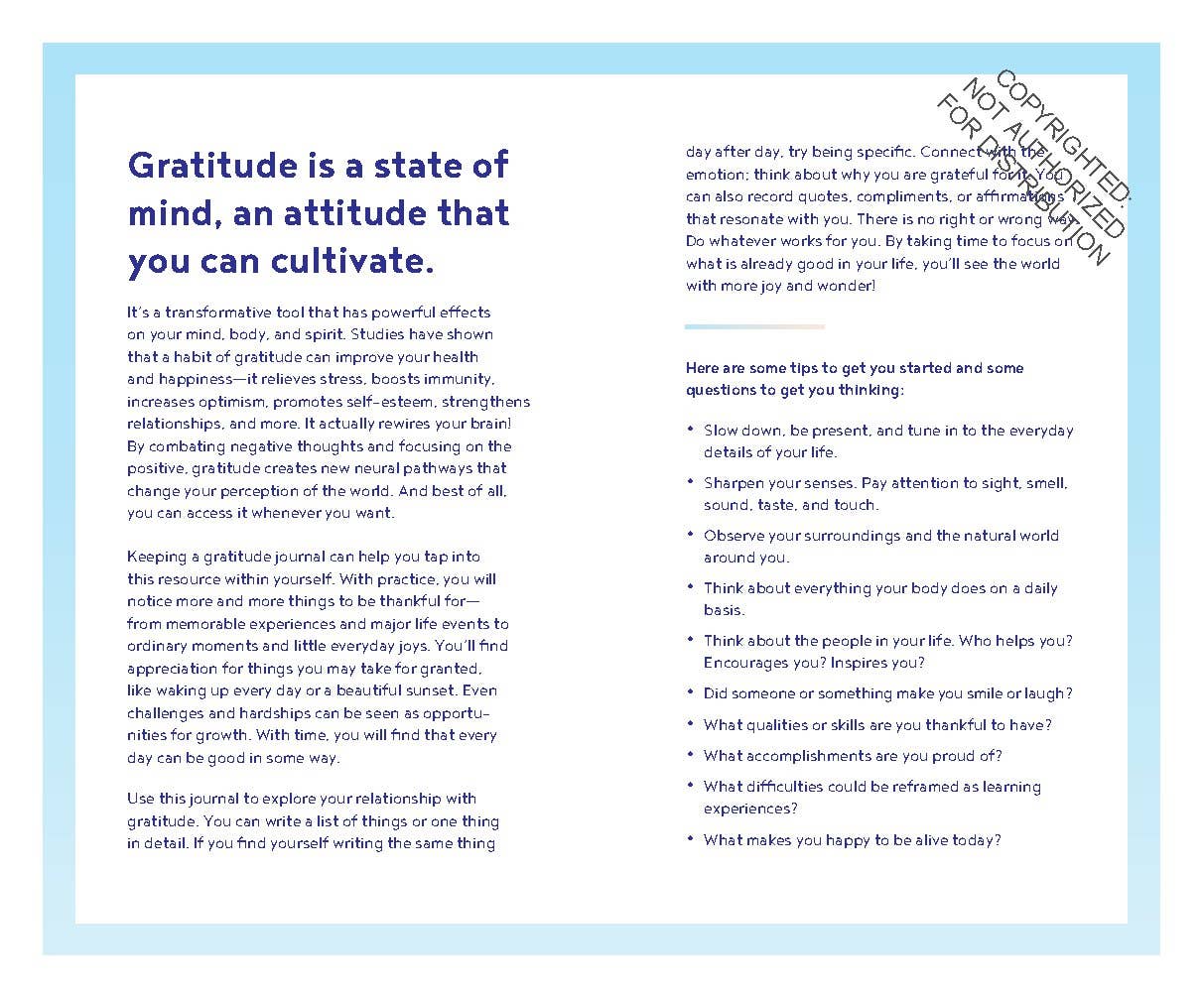 Gratitude One Line a Day