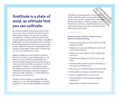 Gratitude One Line a Day