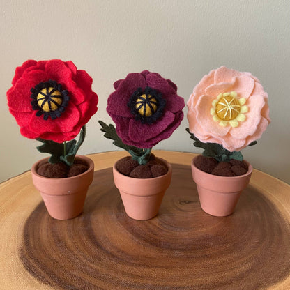 Poppy Felt Forever Flower (August Birth Month Flower): Red