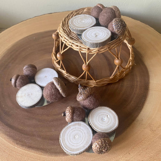 Fall Magnets/ Handmade Acorn & Wood Slices