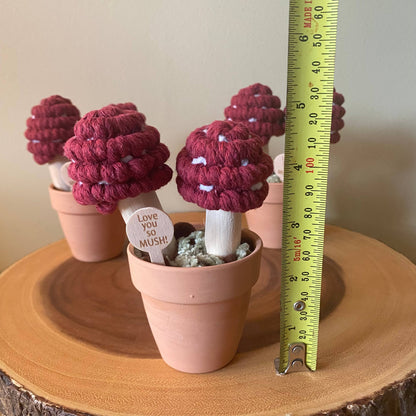 “Love you So Mush” Macrame Mushroom Arrangement