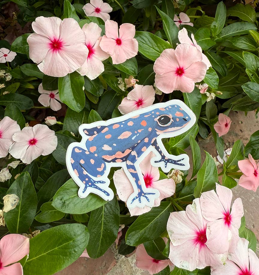 Frog Vinyl Sticker - Wildlife Sticker - Nature Sticker