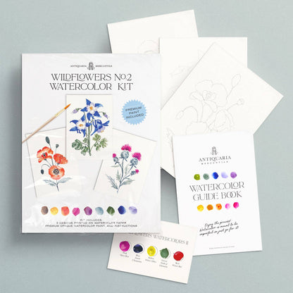 Watercolor Painting Kit : Wildflowers No2