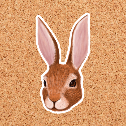 Cottontail Rabbit Vinyl Sticker: With Backer Card