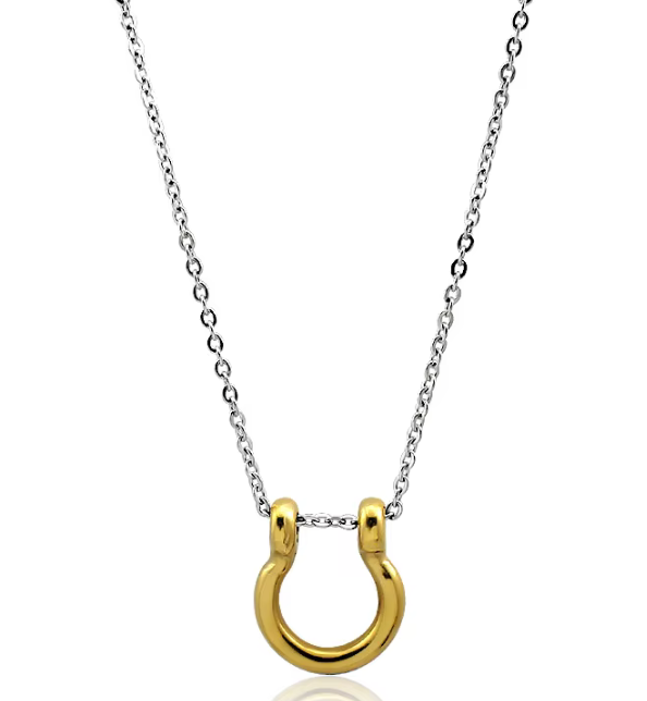 Horse Bit Horse Shoe Steel Stirup Chain Necklace: Two tone