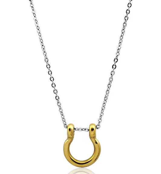 Horse Bit Horse Shoe Steel Stirup Chain Necklace: Two tone