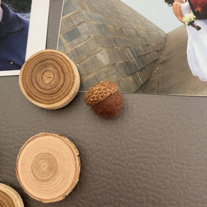 Fall Magnets/ Handmade Acorn & Wood Slices
