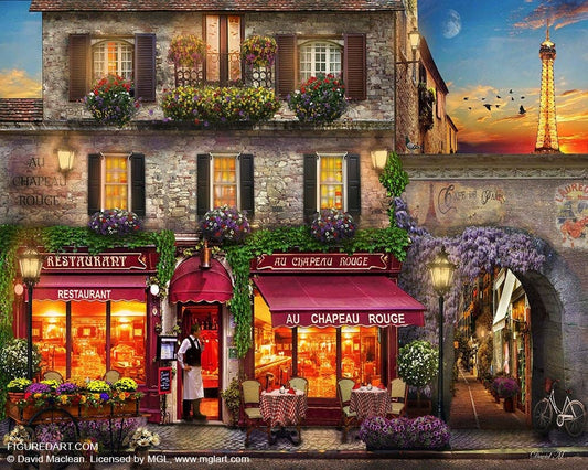 Figured'Art Paint By Number  Rolled Kit -French bistro