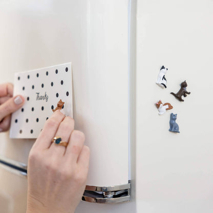 Colorful cat magnets