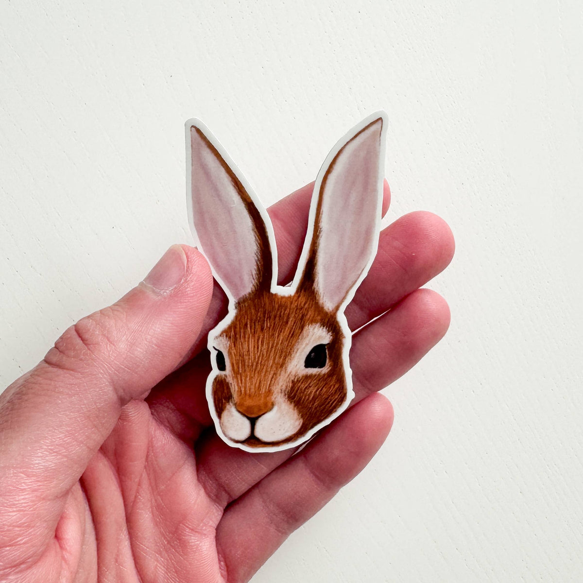 Cottontail Rabbit Vinyl Sticker: With Backer Card