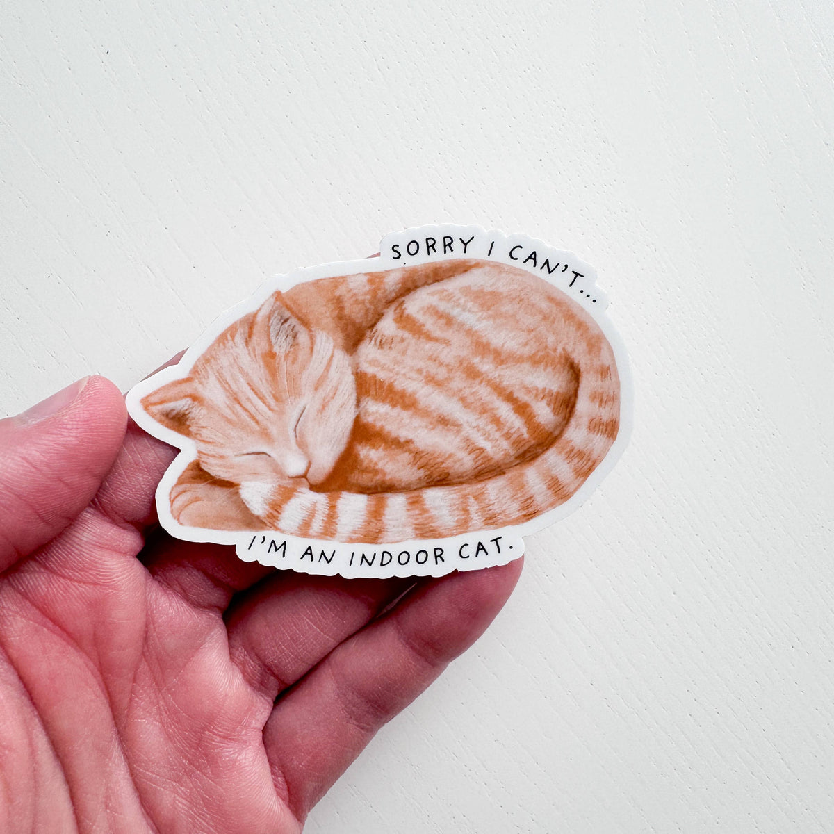 Indoor Cat Introvert Antisocial Vinyl Sticker: With Backer Card