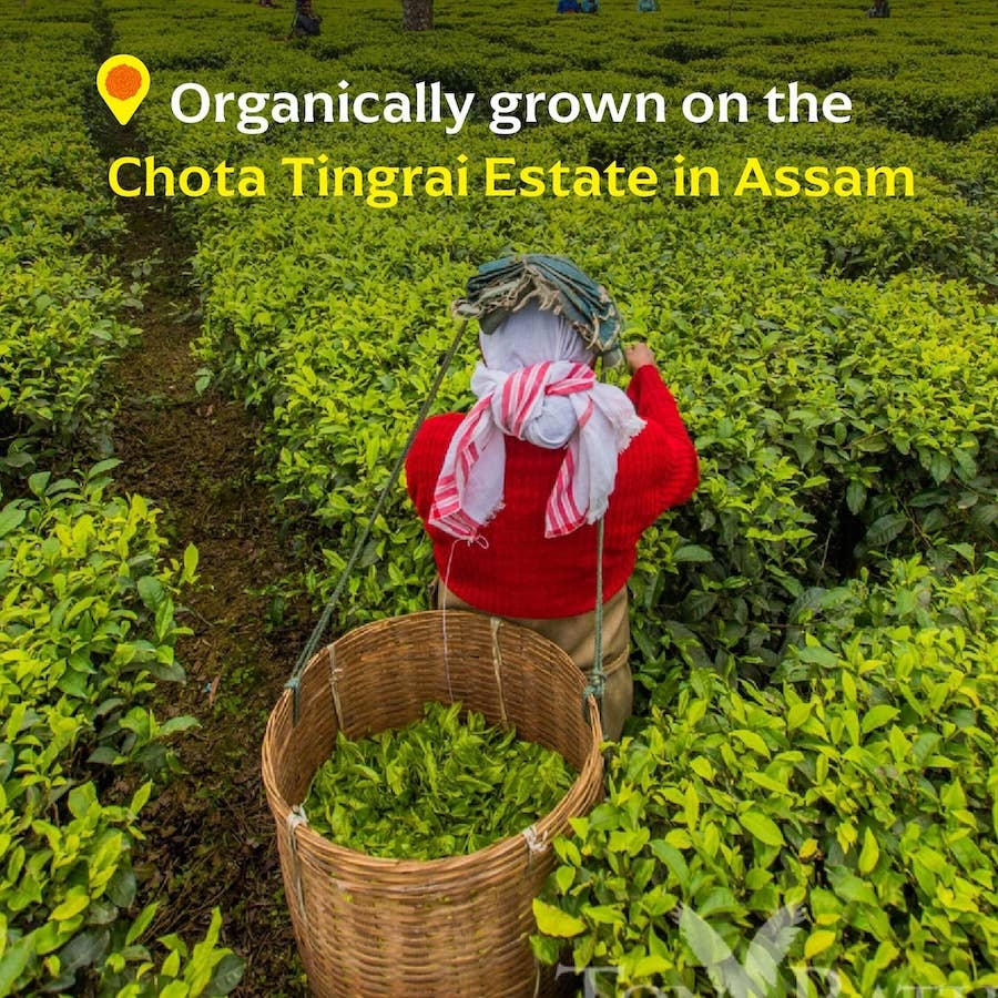 Chota Tingrai Black Tea - Single-Origin Spice: Base Tin - 33g