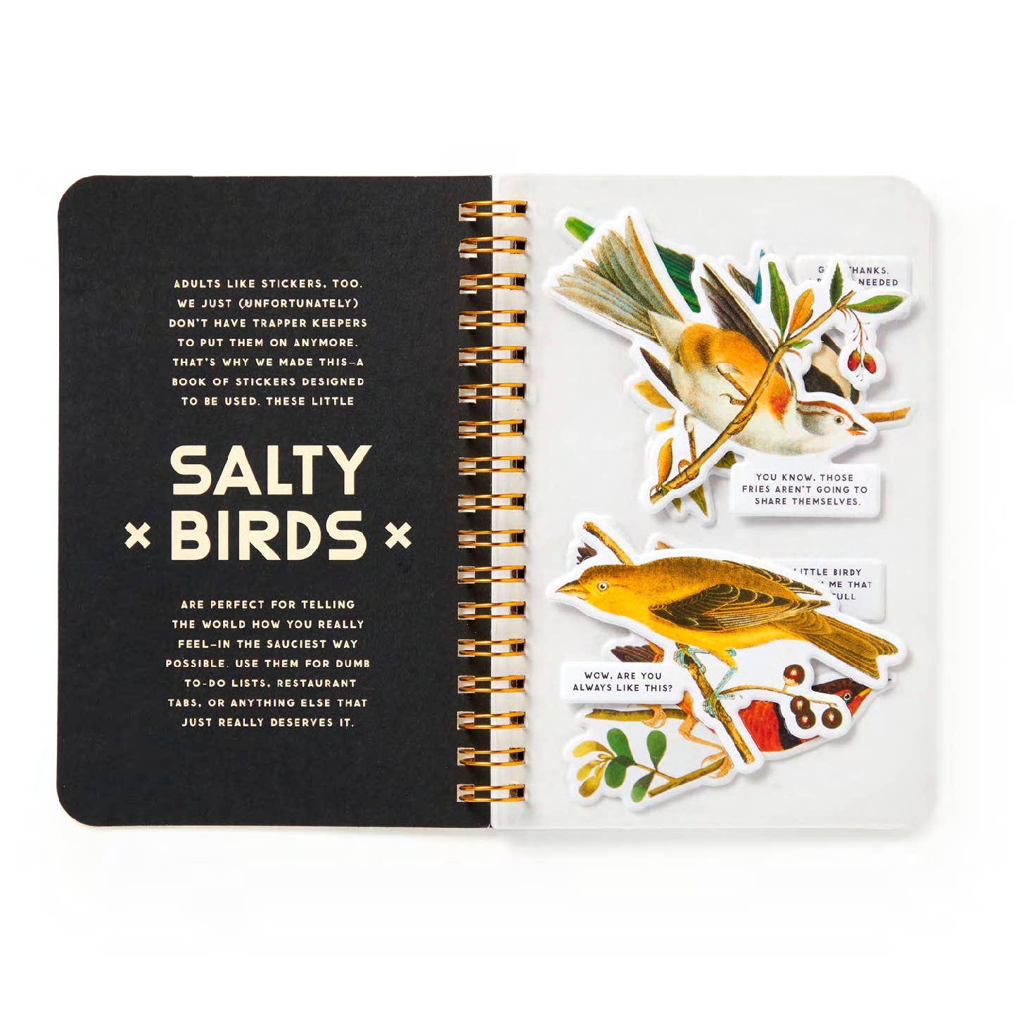 Salty Birds Sticker Book