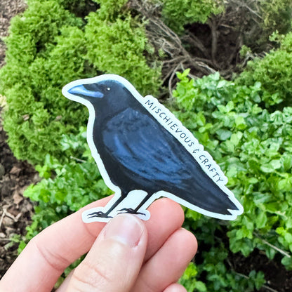 Mischievous & Crafty Crow Sticker