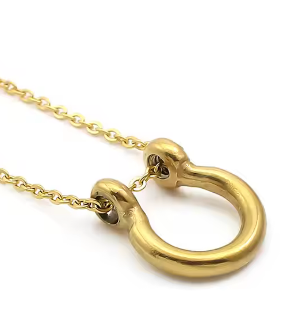 Horse Bit Horse Shoe Steel Stirup Chain Necklace: Two tone