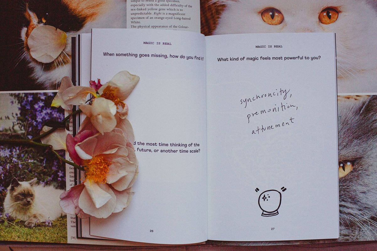 The Imaginary Atlas Journal