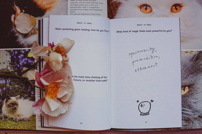 The Imaginary Atlas Journal