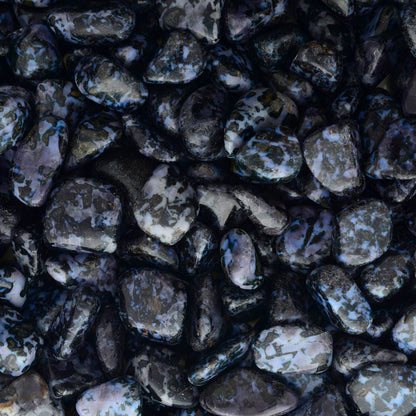 Tumbled Indigo Gabbro - Madagascar (1 lb)