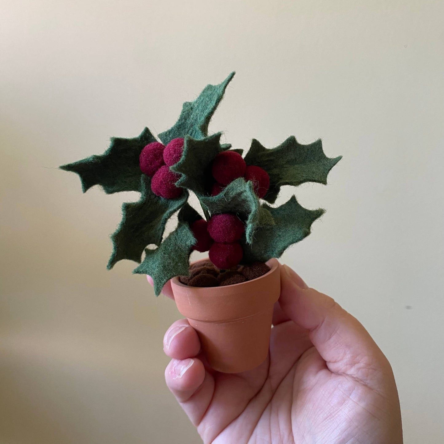 Holly Felt Forever Plant (December Birth Month Flower)